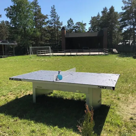 Viking Motel 3*