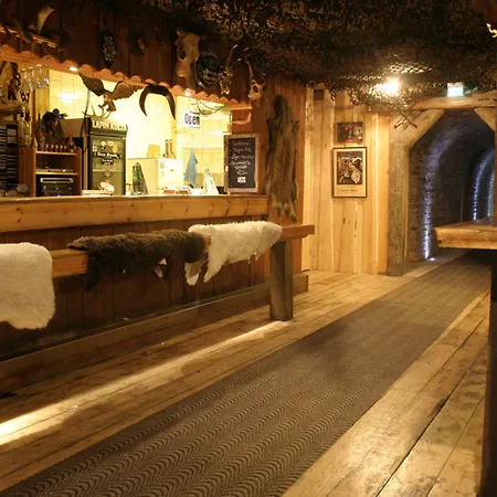 Viking