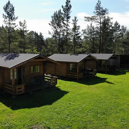 Viking 3*