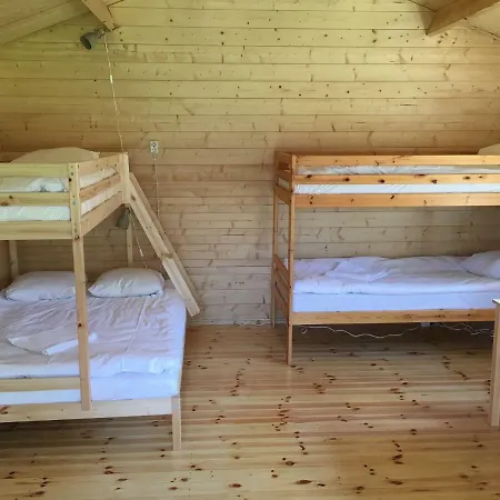 Viking 3*