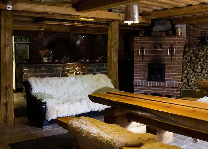 모텔 Viking 항코